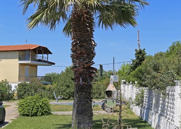 Potidaias Olives Tree Field House